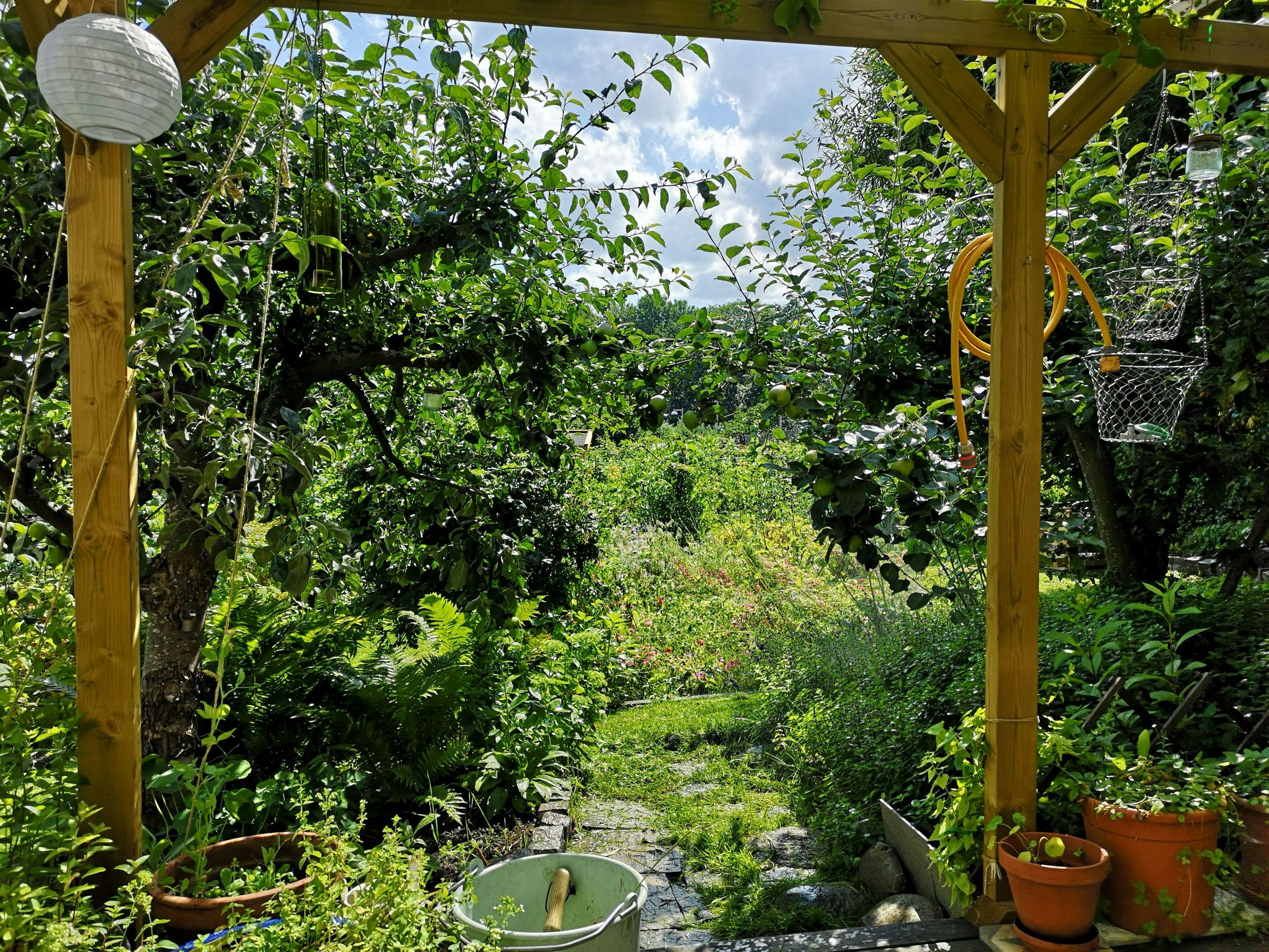 img 20190728 124236 0g3sYe7VhGNrqq